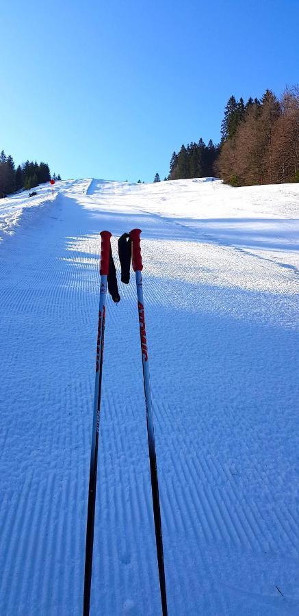 Residenz Grafenmatt Feldberg Lejlighed Feldberg  Eksteriør billede